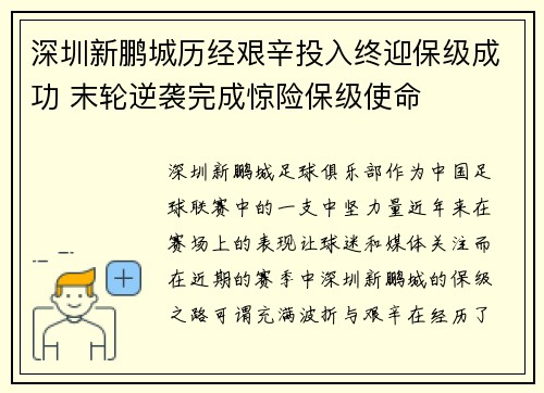 深圳新鹏城历经艰辛投入终迎保级成功 末轮逆袭完成惊险保级使命