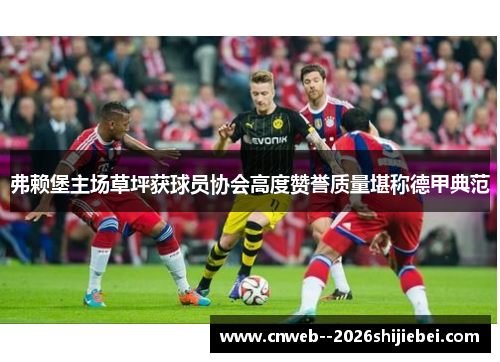 弗赖堡主场草坪获球员协会高度赞誉质量堪称德甲典范 弗赖堡主场草坪获球员协会高度赞誉质量堪称德甲典范